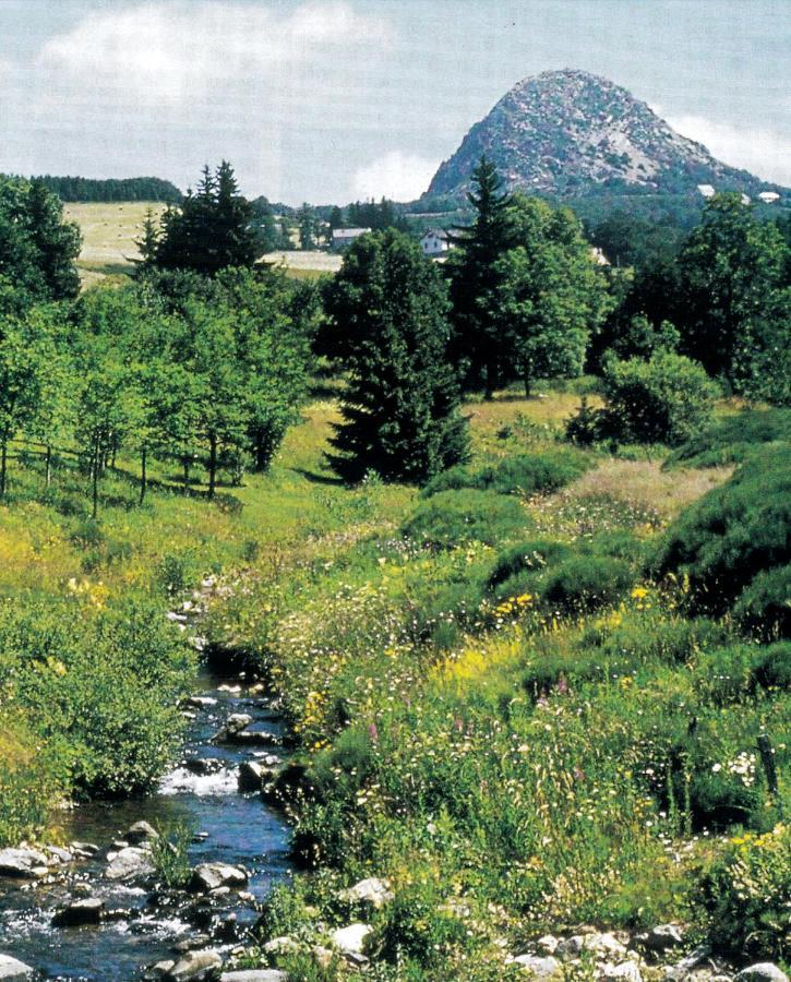 Gites Les Eaux Claires Saint-Paul-le-Jeune Esterno foto